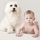 Deti a domáci miláčikovia